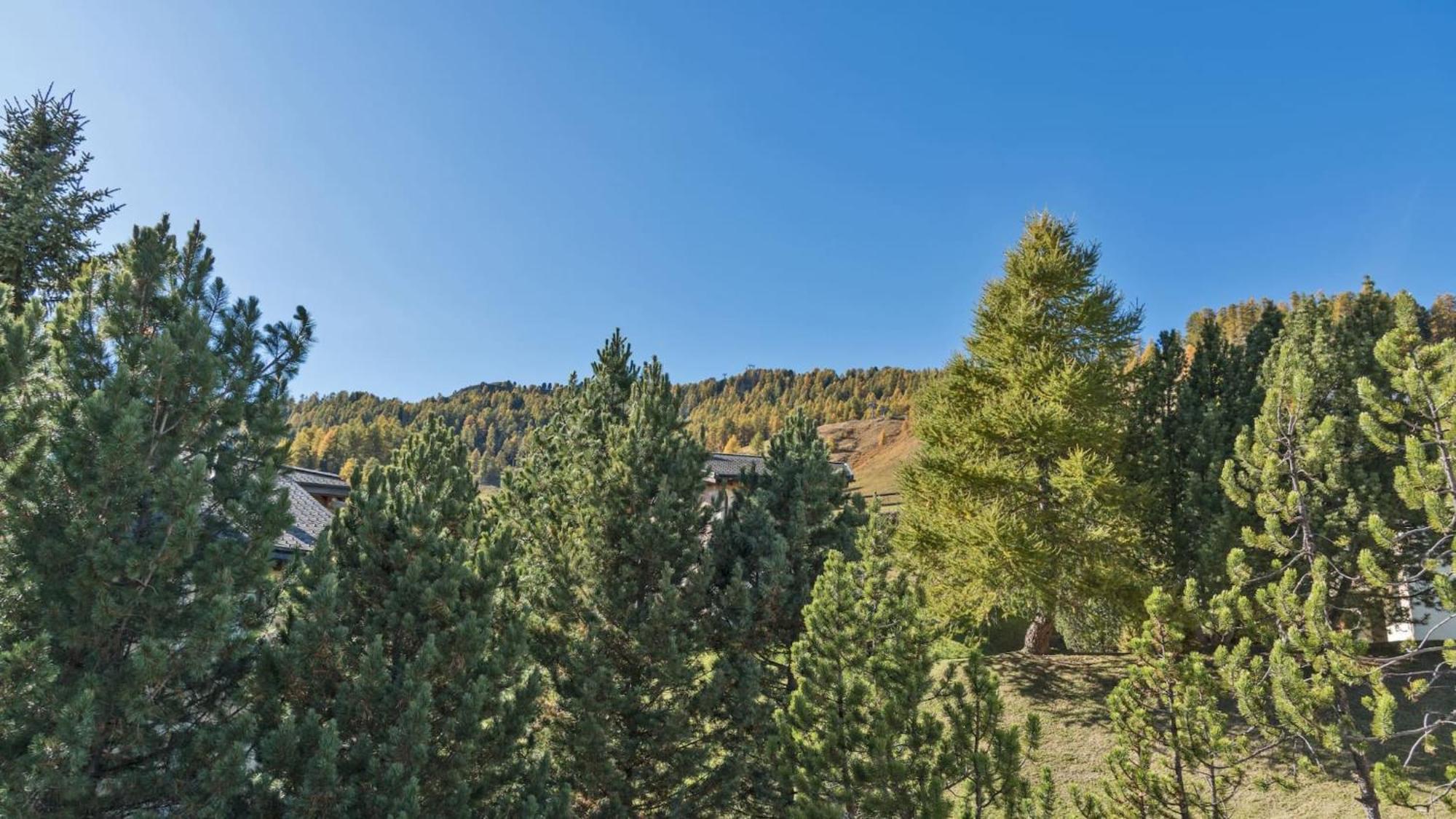 Appartamento Chesa Sarvit - Celerina Celerina/Schlarigna Esterno foto